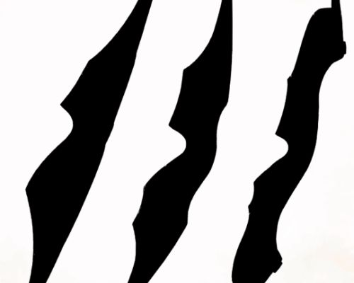Nouveaux arcs White Feather